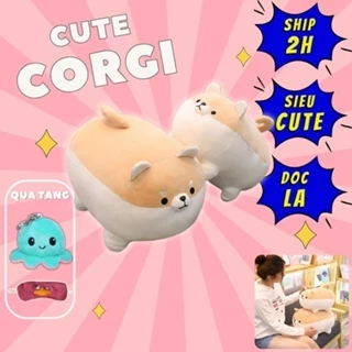 Thú nhồi bông chó corgi tròn dễ thương - Size 35cm - Quà tặng gấu bông chó shiba inu - Gối ôm mềm mịn cho bé