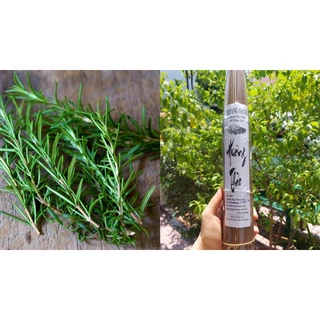 [1kg]Nhang Hương Thảo(Rosemary), Nhang Thuốc Bắc Sạch núi rừng