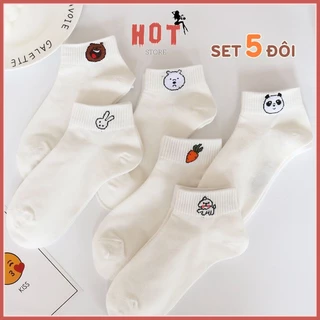 Tất cổ ngắn nữ họa tiết dễ thương, set 5 đôi tất vớ chất vải cotton chống hôi chân - Hot store