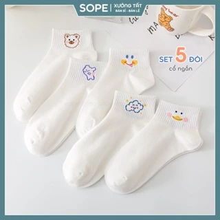 Tất cổ ngắn nữ họa tiết đáng yêu, set vớ chất liệu vải co giãn thoáng mát - Sope Shop