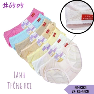 Bộ 10 quần lót nữ thun thông hơi lạnh Thái Lan, freesize 50-63kg (V3: 84-95cm)