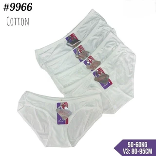 Bộ 10 quần lót nữ cotton Thái Lan màu trắng, size 40-55kg (No.9966 trắng)