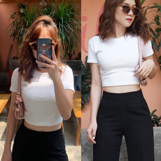 tritrsitrsitrittsrsii Áo croptop tay nhất vải dày dặn TaMu Store - CT01 tritrsitrsitrittsrsii