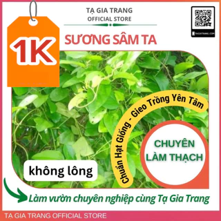 Hạt giống Sương Sâm ta