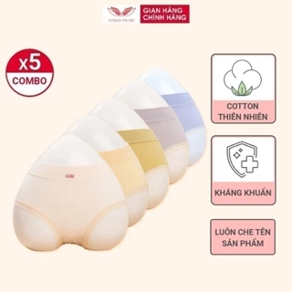 Quần lót nữ cotton kháng khuẩn VINGO co dãn 4 chiều đáy 2 lớp thoáng khí thấm hút CB59 VNGO