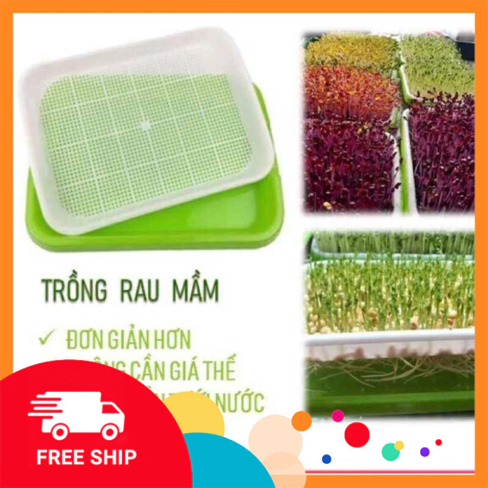 FreeShipp COMBO 5 KHAY TRỒNG RAU MẦM THỦY CANH CHUYÊN DỤNG