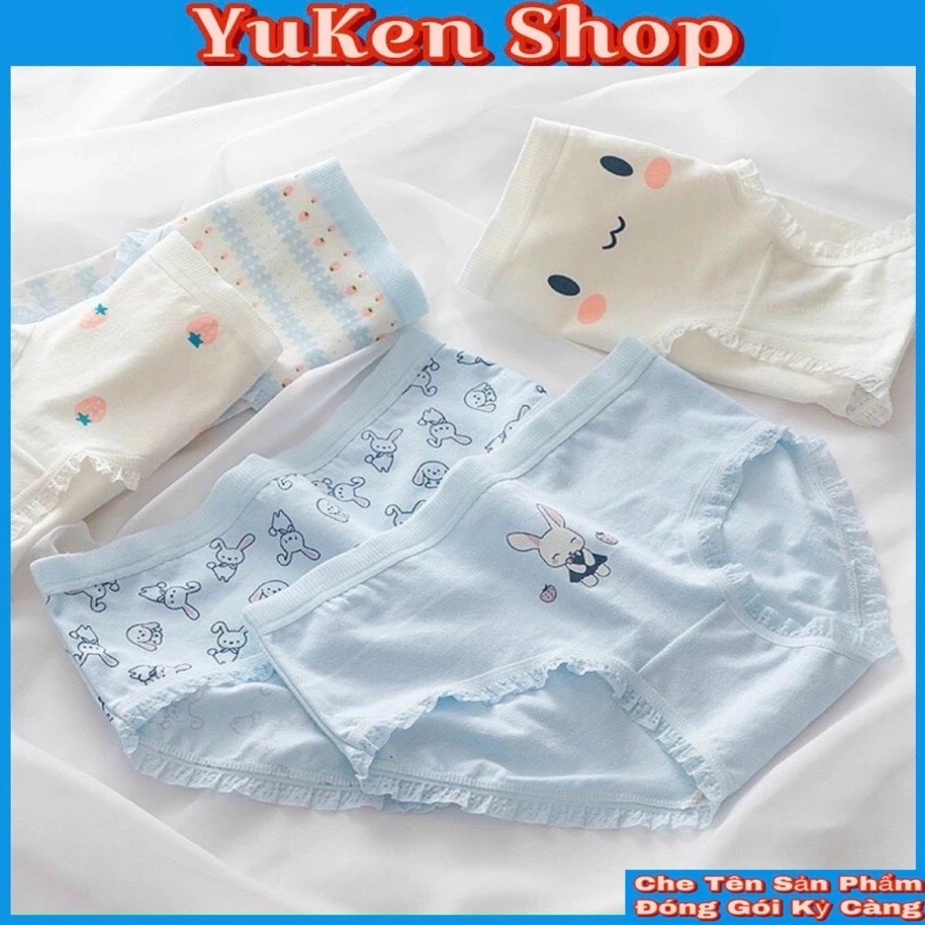 Combo 5 Quần Lót Thỏ Xanh Cho Các Bé Gái,Học Sinh Cấp 1,2,3-Quần Chíp Nữ Viền Ren Ôm