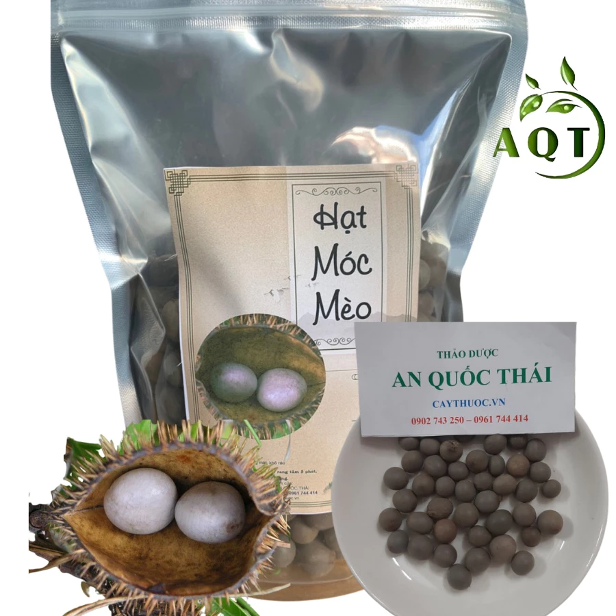 1Kg Hạt Móc Mèo (Trái Mắt Mèo, Hột Mắc Mèo) Loại 1 đóng gói sạch sẽ