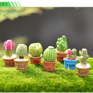 Set 7 Chậu Cây Xương Rồng Mini Trang Trí Taplo Oto Bàn Làm Việc - Đồ Decor Ô Tô Phòng Ngủ Decoroto Giá Rẻ