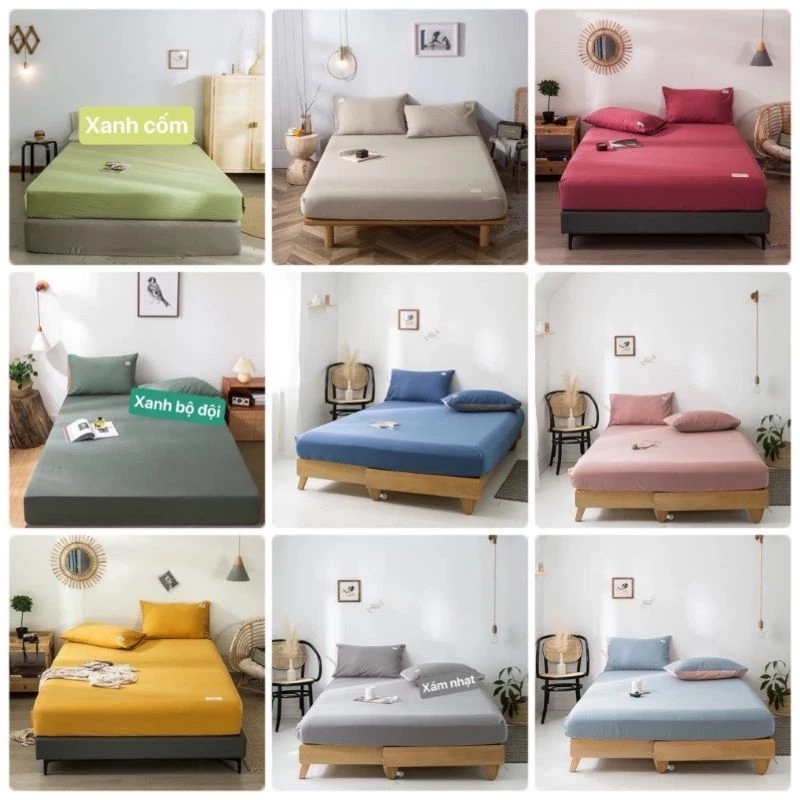 Bộ 3 món ga gối cotton tici m6/m8 phong cách Hàn Quốc