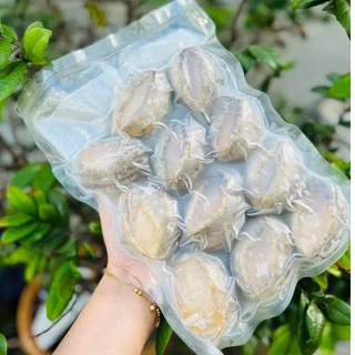 Bào ngư nhập khẩu 500gr bổ dưỡng (Có Mạ Ít Đá)❤️Tmart - Thực phẩm sạch