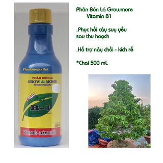 Chai 500ml Vitamin B1 Growmore,Kích Rễ, Điều Hòa Sinh Trưởng,Phục Hồi Cây Sau Thu Hoạch