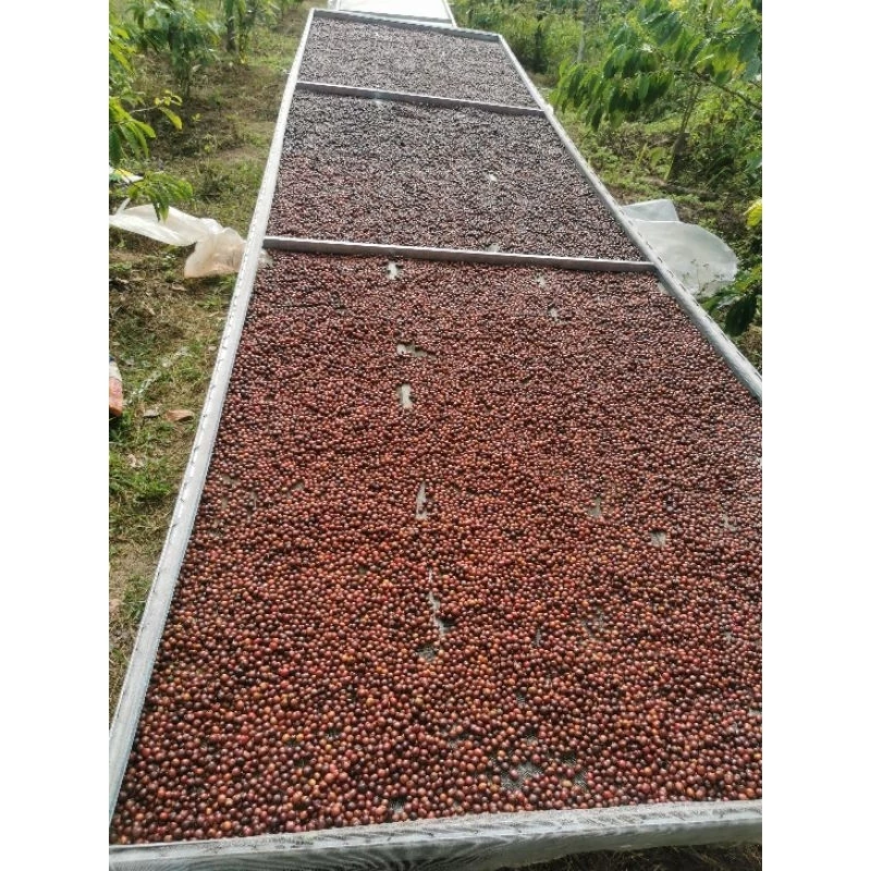 500g - Cà Phê Robusta - Cafe Rang Xay Nguyên Chất - Cafe Mộc