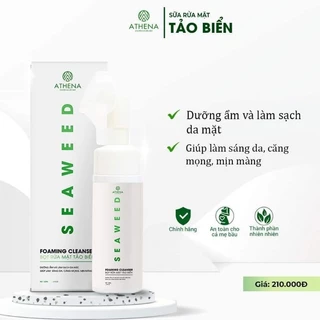 Bọt rửa mặt tảo biển đỏ