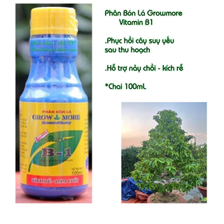 Phân Bón Lá Đậm Đặc Cao Cấp  Vitamin B1 - Qui cách: Chai 100ml