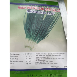 HẠT GIỐNG HÀNH HƯƠNG CAO SẢN 5gram