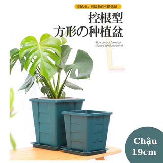 Chậu vuông cao cấp nhập khẩu size 19cm x 19cm