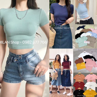 Áo phông thun croptop 2 chất cotton thoáng mát