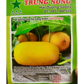 Hạt giống Dưa bở vàng thơm Hải Dương Seeds gói 5gr