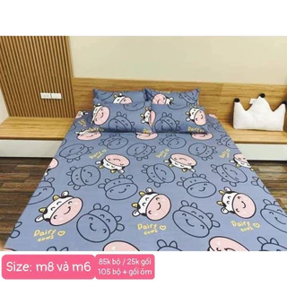 Bộ Chăn Phao Kèm Ga Chun 2 Vỏ Gối , vỏ gối ôm Cotton Poly