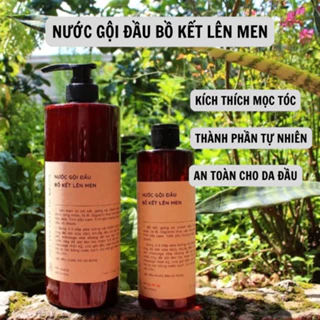 Nước gội đầu bồ kết lên men giảm rụng tóc, ngăn ngừa gàu, suôn mượt