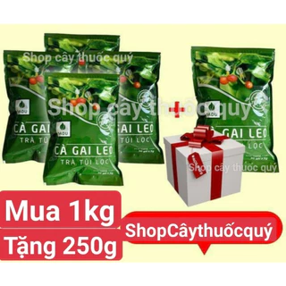 Mua 1kg tặng 250g trà túi lọc cà gai leo Sadu mát gan thải độc gan