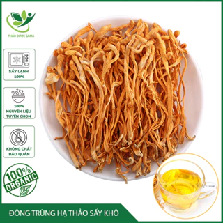 Đông Trùng Hạ Thảo Sấy Khô Sợi To Ngon Hàng Cao Cấp Bồi Bổ Cơ Thể Gói 200gr Thảo Mộc Gama