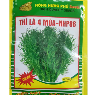 Hạt giống thì là 4 mùa NHP86 Chịu mưa tốt 20gr