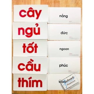 Freeship - nhận in Flashcard trọn bộ chữ NHẬP TÂM của CỬA SỔ VÀNG - Từ đơn từ ghép cụm từ và câu