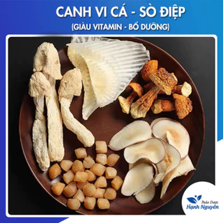 Canh vi cá sò điệp (Bổ sung canxi, chất dinh dưỡng cho cơ thể) - Thảo Dược Hạnh Nguyên