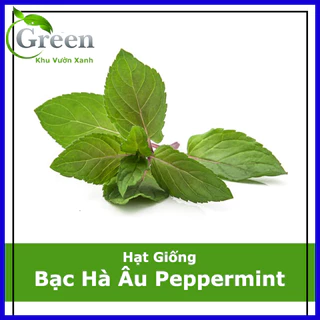 Hạt Giống Bạc Hà Âu Peppermint (100 Hạt)