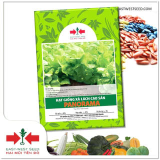 GÓI 50g HẠT GIỐNG XÀ LÁCH CAO SẢN PANORAMA CỦA EAST-WEST SEED (HAI MŨI TÊN ĐỎ)