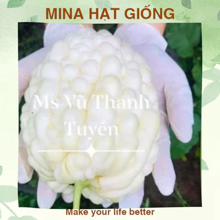 Hạt giống mướp đắng trắng tròn ⚡ HÀNG CHUẨN F1 ⚡ Mướp đắng trắng tròn chuẩn F1, quả giòn siêu thơm, thu hoạch 4 mùa