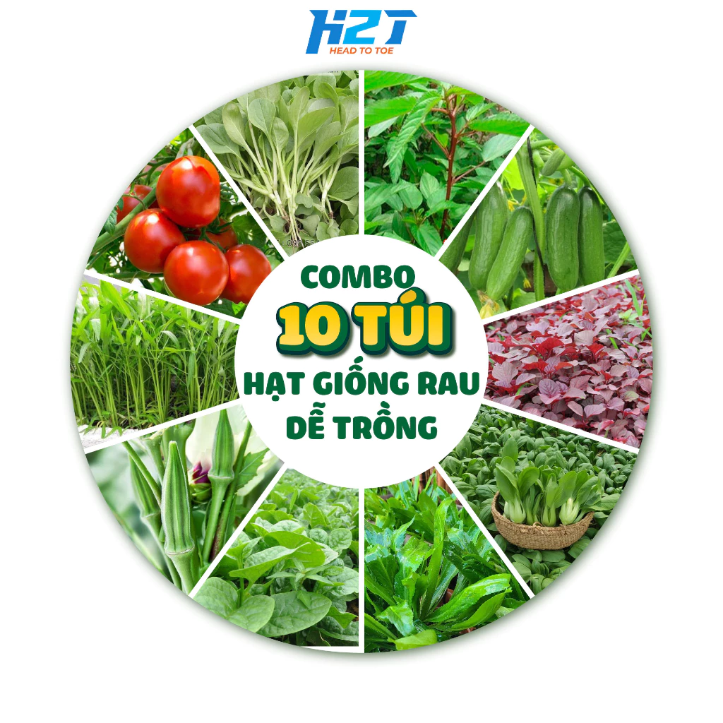 Combo 10 túi ngẫu nhiên : cải ngọt, rau dền, cải thìa, cà chua, dưa leo, đay, ngò, mồng tơi, đậu cove, muống  h2t farm