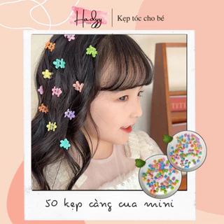 Kẹp tóc càng cua Hadyykids - CT19 set 50 chiếc kẹp mini nhiều màu sắc xinh xắn