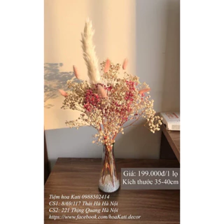 Set bình hoa Baby khô trang trí nhà cửa ❤️FREESHIP❤️ Hoa khô decor, chụp ảnh sản phẩm kati.hcm