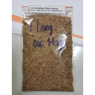 1 lạng hạt giống cúc magic/ cúc thúy đà lạt