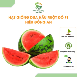 1 gói Hạt giống Dưa hấu F1 Đồng An siêu sai trái, dễ trồng, trái to, ít sâu hại (0,1 gram)