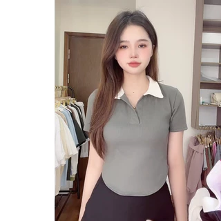 Áo croptop polo vạt bầu peonyb nữ [FREESHIP] Thun kiểu dáng ngắn cộc tay baby tee bánh bèo tiểu thư hotgirl hàn quốc đẹp