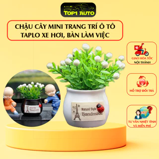 Phụ kiện trang trí ô tô, Chậu cây mini trang trí ô tô, trang trí bàn làm việc bàn học, trang trí taplo xe hơi cực xinh