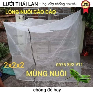 Mùng nuôi ruồi lính đen, lồng nuôi cào cào, châu chấu - 2x2x2