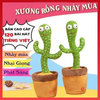 Cây xương Rồng Nhảy Múa Xương Rồng Biết Nhại Siêu Hót