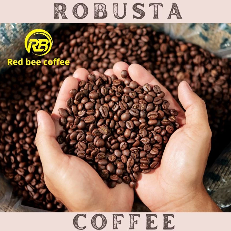 Cafe nguyên chất Robusta, cafe Robusta hạt mộc 500gr hạt
