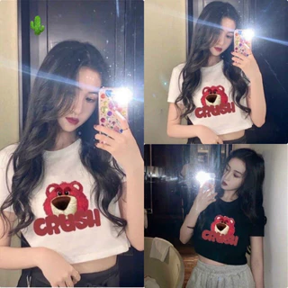 áo croptop gấu dâu to crush