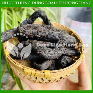 Nhục Thung Dung 1kg - Công Ty Dược Liệu Hồng Lan