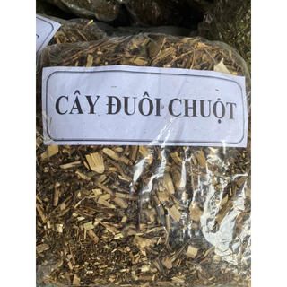 1kg cây ĐUÔI CHUỘT khô sạch đẹp loại 1 - cơ sở dượ.c liệu Thảo An