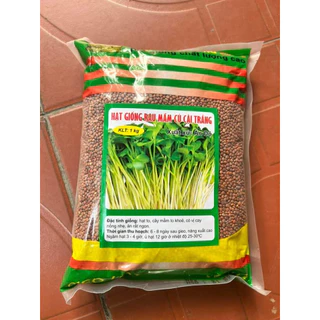 [Mua 1kg tặng 50gr] Hạt giống rau mầm củ cải trắng 1Kg