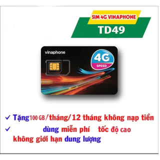 Sim 4G Data Vinaphone 12 tháng TD49 100G/tháng miễn phí không phải nạp thẻ mua về là sử dụng 12 tháng tốc độ cao