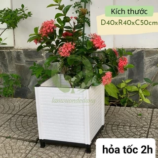 chậu lắp ghép trồng cây thông minh 40x40x35cm