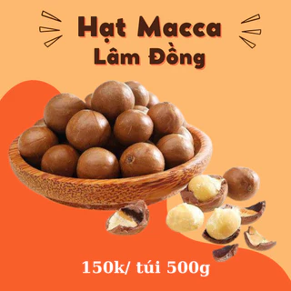 HẠT MẮC CA (size A, 500gr) LÂM ĐỒNG CAO CẤP